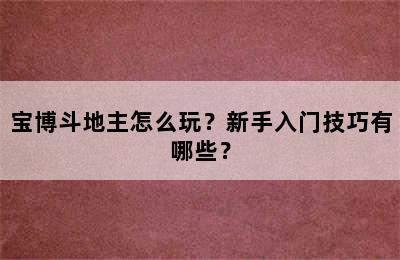 宝博斗地主怎么玩？新手入门技巧有哪些？