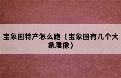 宝象国特产怎么跑（宝象国有几个大象雕像）