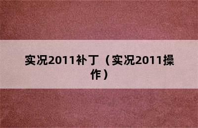 实况2011补丁（实况2011操作）