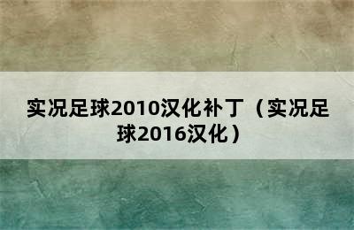 实况足球2010汉化补丁（实况足球2016汉化）