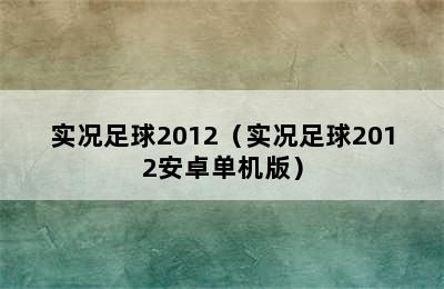 实况足球2012（实况足球2012安卓单机版）