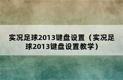 实况足球2013键盘设置（实况足球2013键盘设置教学）