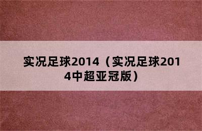 实况足球2014（实况足球2014中超亚冠版）