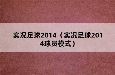 实况足球2014（实况足球2014球员模式）