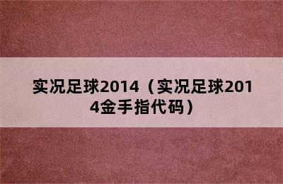 实况足球2014（实况足球2014金手指代码）