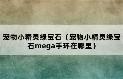 宠物小精灵绿宝石（宠物小精灵绿宝石mega手环在哪里）