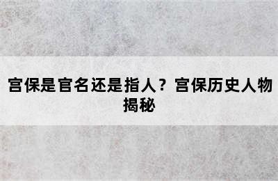 宫保是官名还是指人？宫保历史人物揭秘