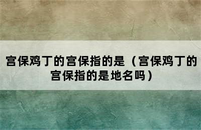 宫保鸡丁的宫保指的是（宫保鸡丁的宫保指的是地名吗）