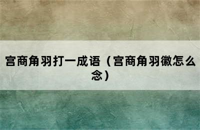 宫商角羽打一成语（宫商角羽徽怎么念）