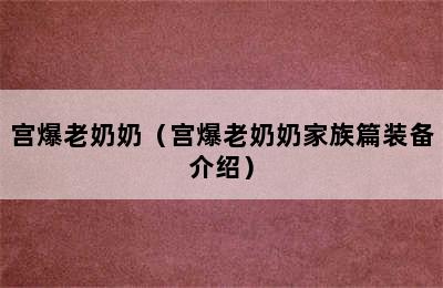 宫爆老奶奶（宫爆老奶奶家族篇装备介绍）