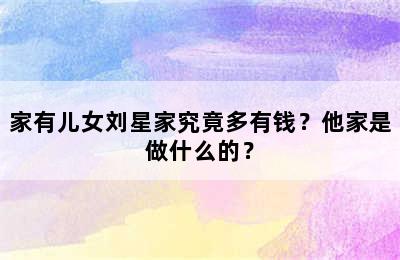 家有儿女刘星家究竟多有钱？他家是做什么的？