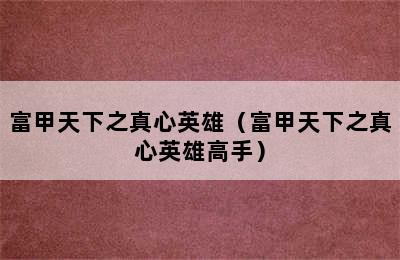 富甲天下之真心英雄（富甲天下之真心英雄高手）