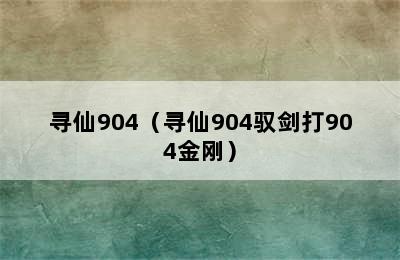 寻仙904（寻仙904驭剑打904金刚）