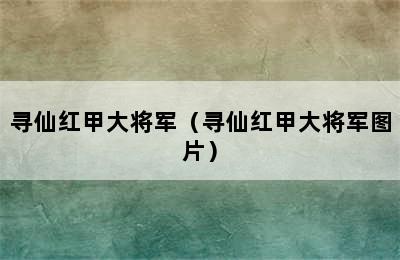 寻仙红甲大将军（寻仙红甲大将军图片）