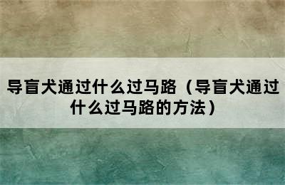 导盲犬通过什么过马路（导盲犬通过什么过马路的方法）