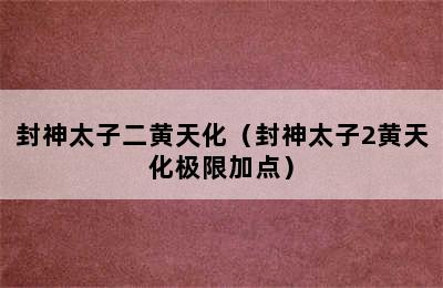 封神太子二黄天化（封神太子2黄天化极限加点）