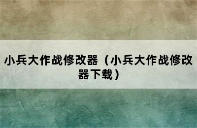 小兵大作战修改器（小兵大作战修改器下载）