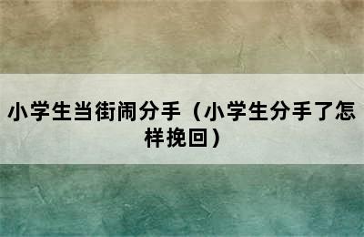 小学生当街闹分手（小学生分手了怎样挽回）