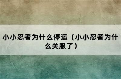 小小忍者为什么停运（小小忍者为什么关服了）