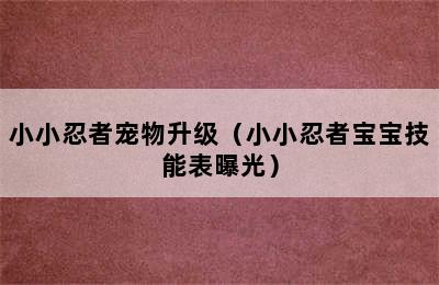 小小忍者宠物升级（小小忍者宝宝技能表曝光）