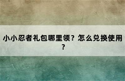 小小忍者礼包哪里领？怎么兑换使用？