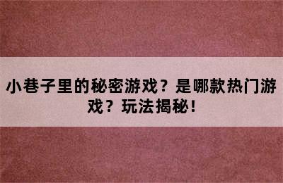 小巷子里的秘密游戏？是哪款热门游戏？玩法揭秘！