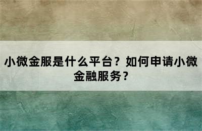 小微金服是什么平台？如何申请小微金融服务？