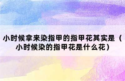 小时候拿来染指甲的指甲花其实是（小时候染的指甲花是什么花）