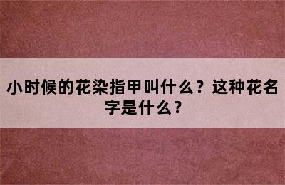 小时候的花染指甲叫什么？这种花名字是什么？