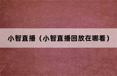 小智直播（小智直播回放在哪看）