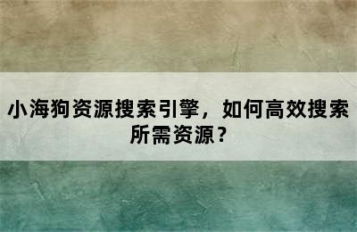 小海狗资源搜索引擎，如何高效搜索所需资源？