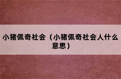 小猪佩奇社会（小猪佩奇社会人什么意思）