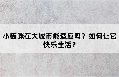 小猫咪在大城市能适应吗？如何让它快乐生活？