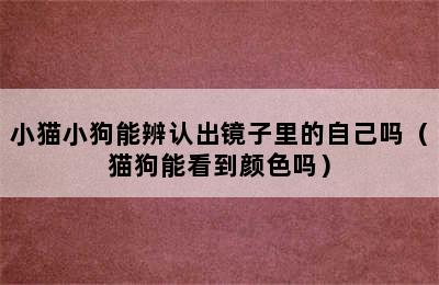 小猫小狗能辨认出镜子里的自己吗（猫狗能看到颜色吗）