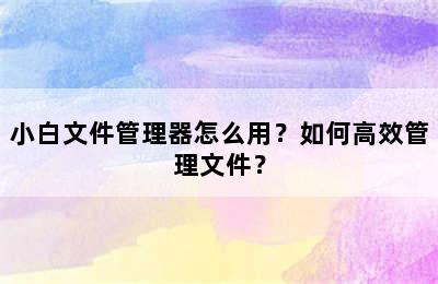 小白文件管理器怎么用？如何高效管理文件？