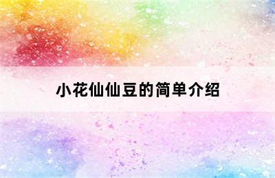 小花仙仙豆的简单介绍