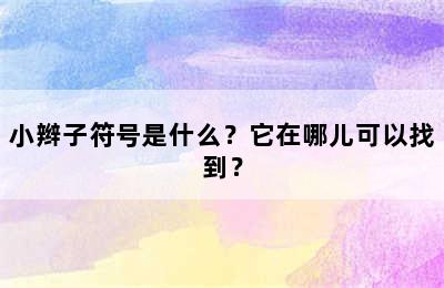 小辫子符号是什么？它在哪儿可以找到？