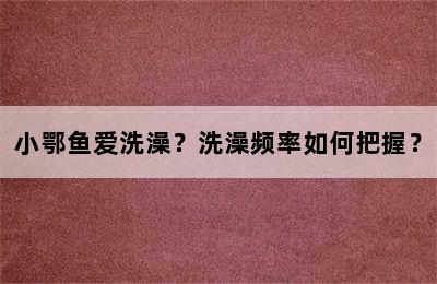 小鄂鱼爱洗澡？洗澡频率如何把握？