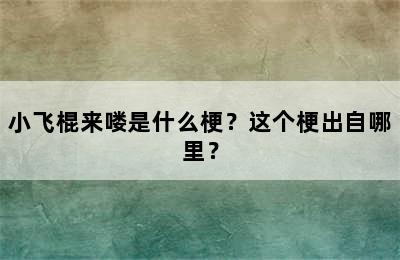 小飞棍来喽是什么梗？这个梗出自哪里？