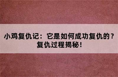 小鸡复仇记：它是如何成功复仇的？复仇过程揭秘！