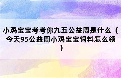 小鸡宝宝考考你九五公益周是什么（今天95公益周小鸡宝宝饲料怎么领）