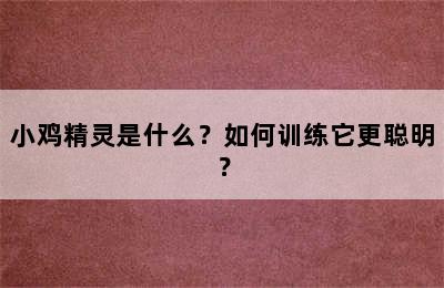 小鸡精灵是什么？如何训练它更聪明？