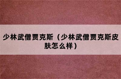 少林武僧贾克斯（少林武僧贾克斯皮肤怎么样）