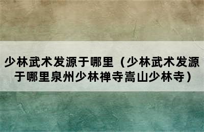 少林武术发源于哪里（少林武术发源于哪里泉州少林禅寺嵩山少林寺）