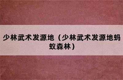 少林武术发源地（少林武术发源地蚂蚁森林）