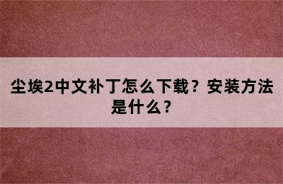 尘埃2中文补丁怎么下载？安装方法是什么？