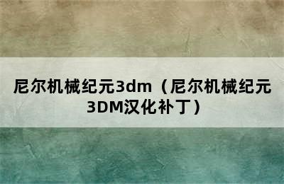 尼尔机械纪元3dm（尼尔机械纪元3DM汉化补丁）