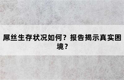 屌丝生存状况如何？报告揭示真实困境？