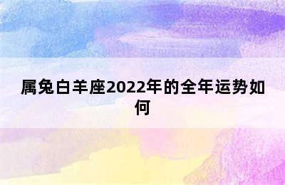 属兔白羊座2022年的全年运势如何