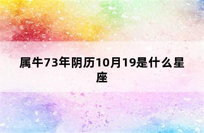 属牛73年阴历10月19是什么星座